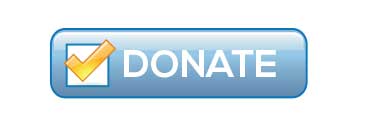 donate button only transparent