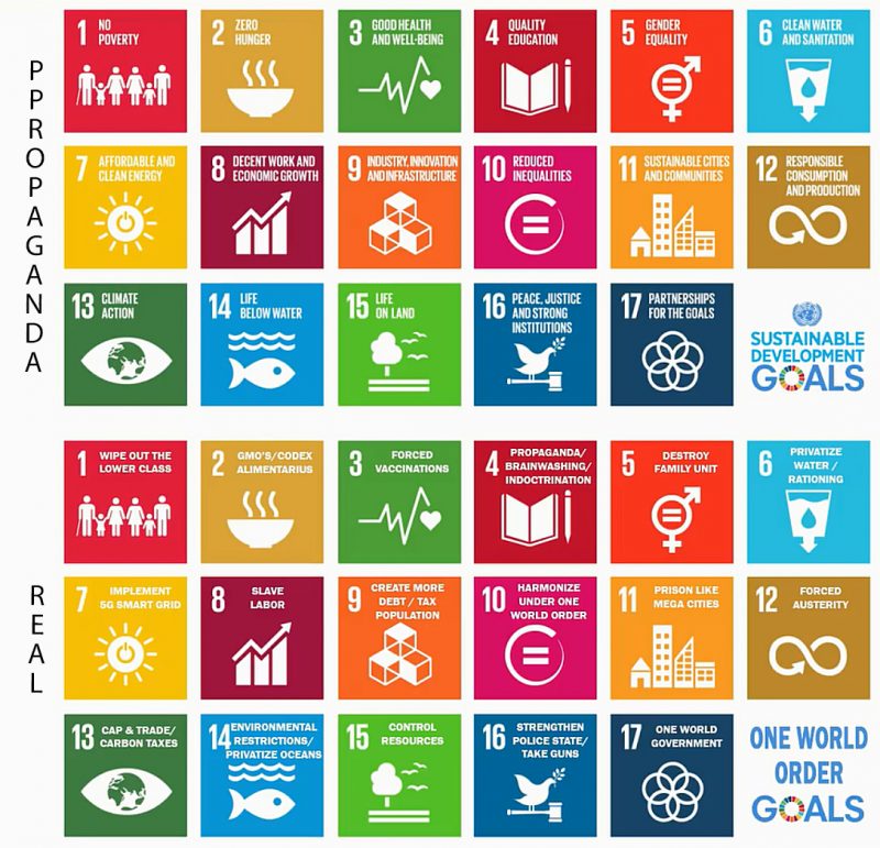 UN Agenda 30 real goals 1 e1608215795613
