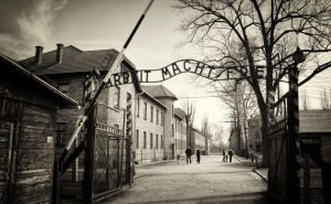 Auschwitz Gaza