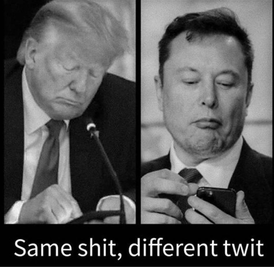 Musk Trump