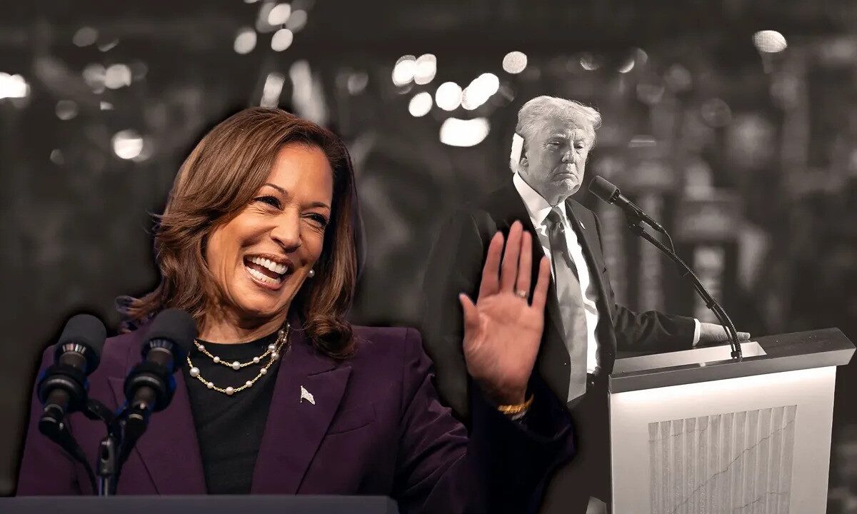 trump harris Fox MAGA