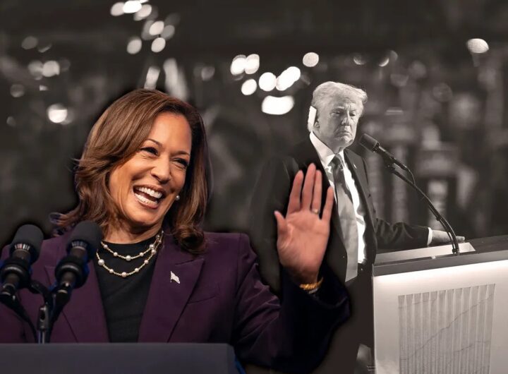 trump harris Fox MAGA