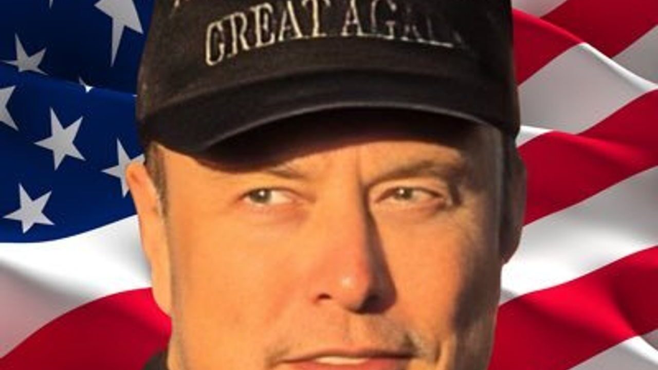 Musk Stewart trump