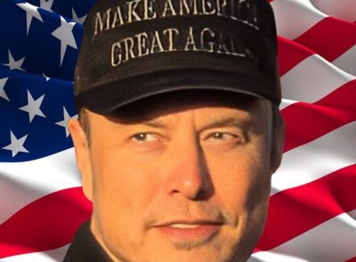 Musk Stewart trump