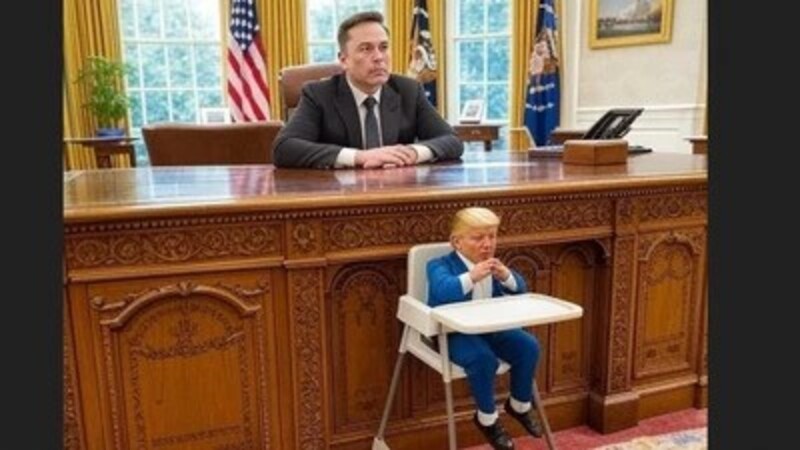 musk trump