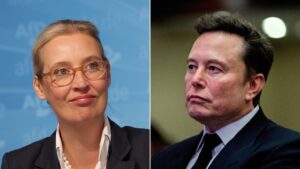 musk weidel