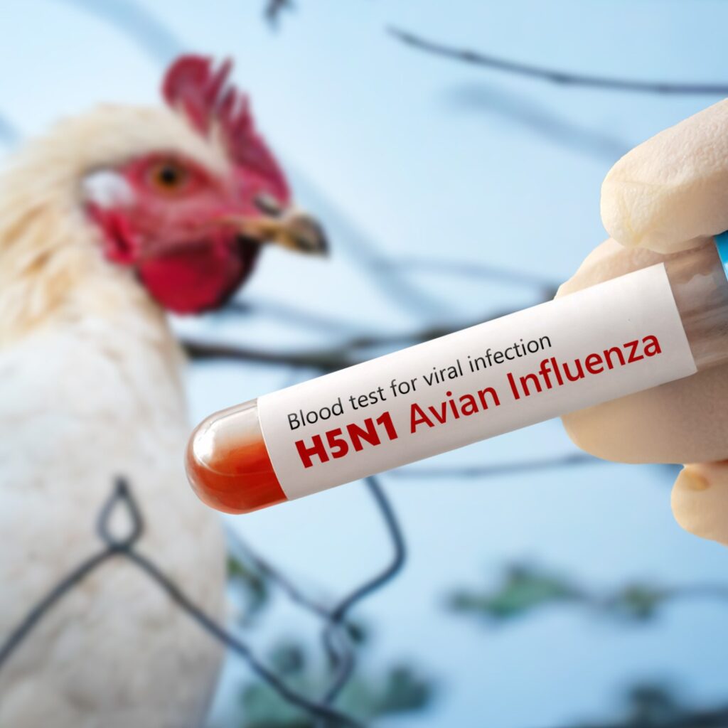 H5N1